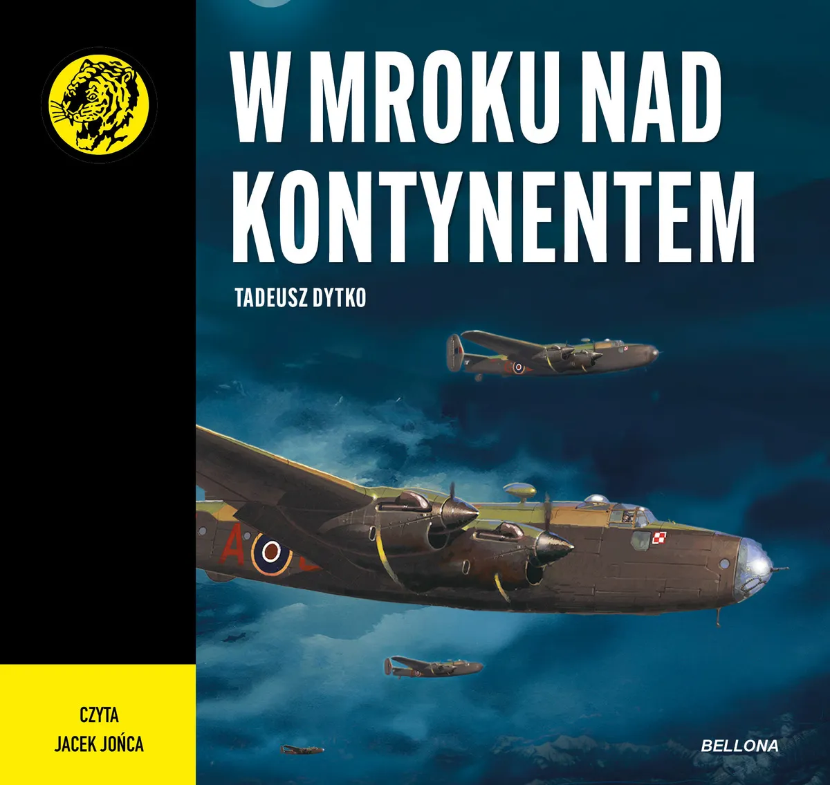 W mroku nad kontynentem