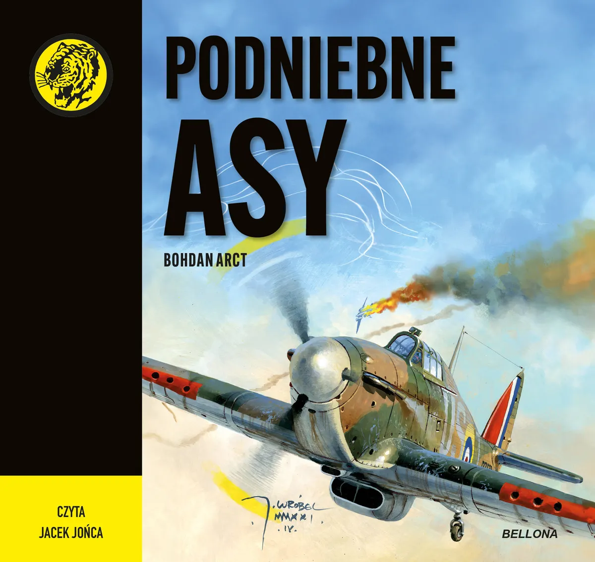 Podniebne asy