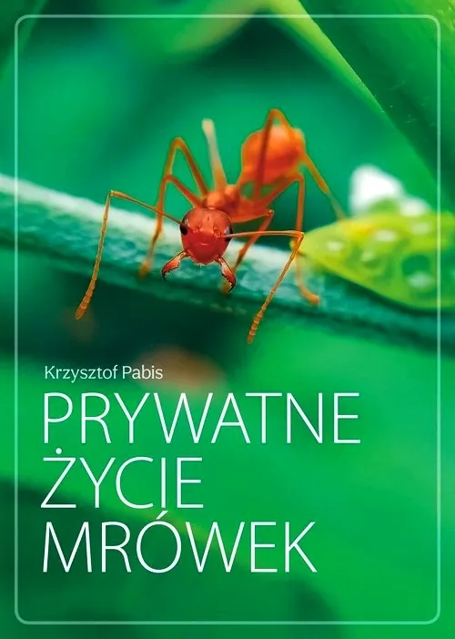 Prywatne życie mrówek