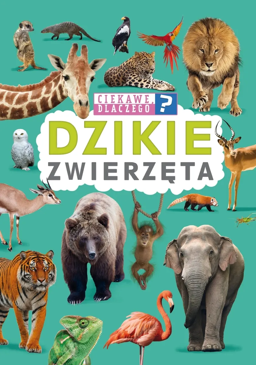 Ciekawe dlaczego? Dzikie zwierzęta