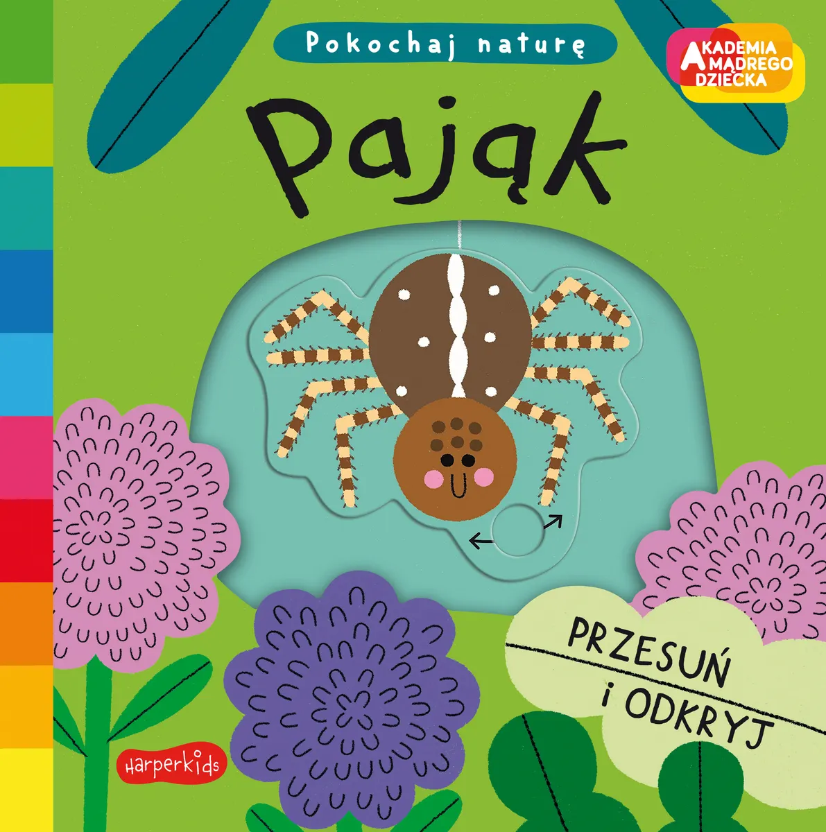 Pająk. Akademia Mądrego Dziecka. Pokochaj naturę