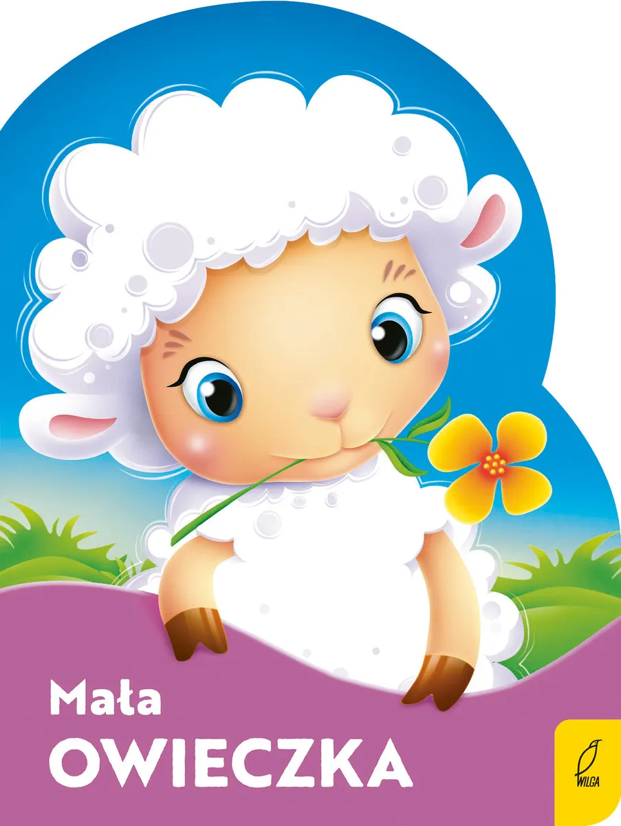Mała owieczka