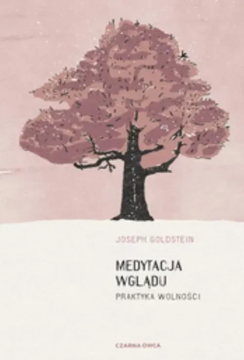 Medytacja wglądu