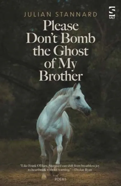 Please Don't Bomb the Ghost of My Brother