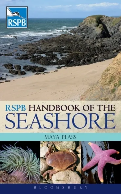 of the Seashore